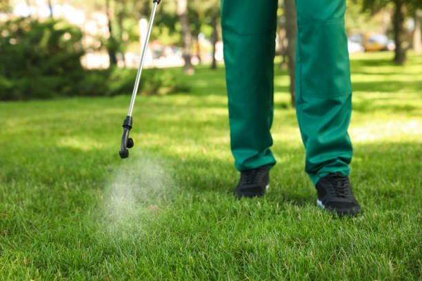 Best Cockroach Control Services  in Beach Park, IL