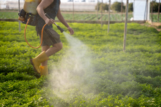 Best Ant Control Services  in Beach Park, IL