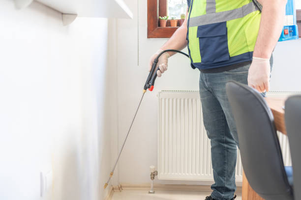 Best Ant Control Services  in Beach Park, IL