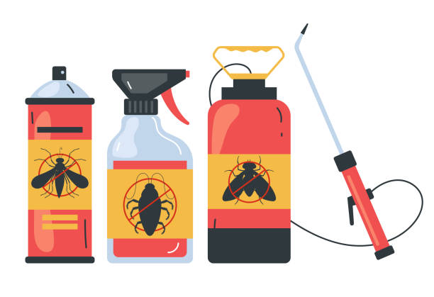 Best Affordable Pest Control Services  in Beach Park, IL
