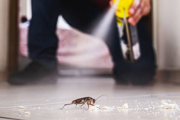 Best Bed Bug Extermination  in Beach Park, IL