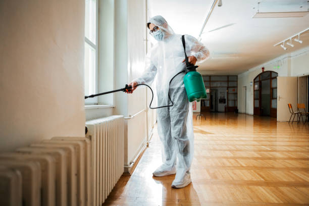 Best Flea Control Services  in Beach Park, IL